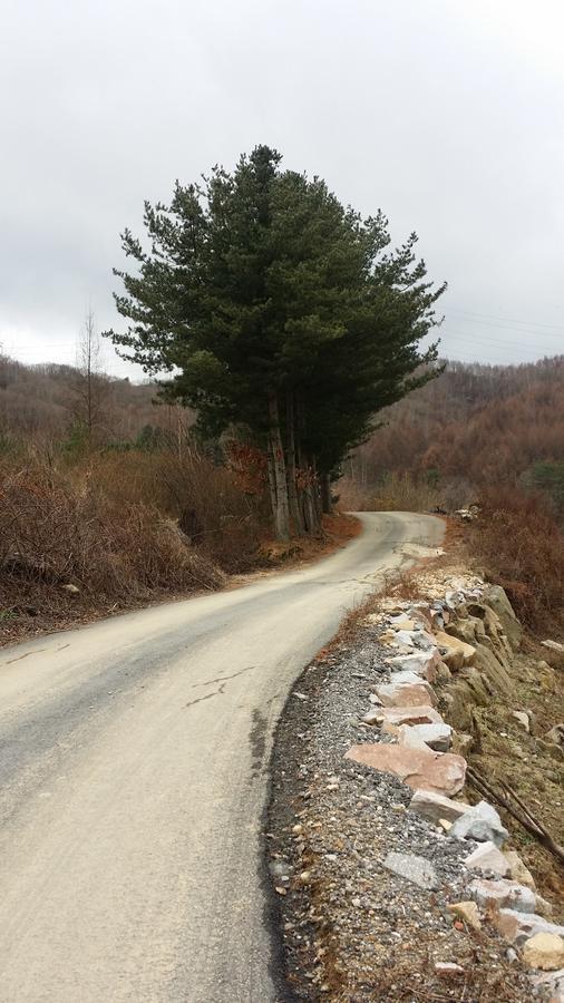Pyeongchang Iris Pension ภายนอก รูปภาพ