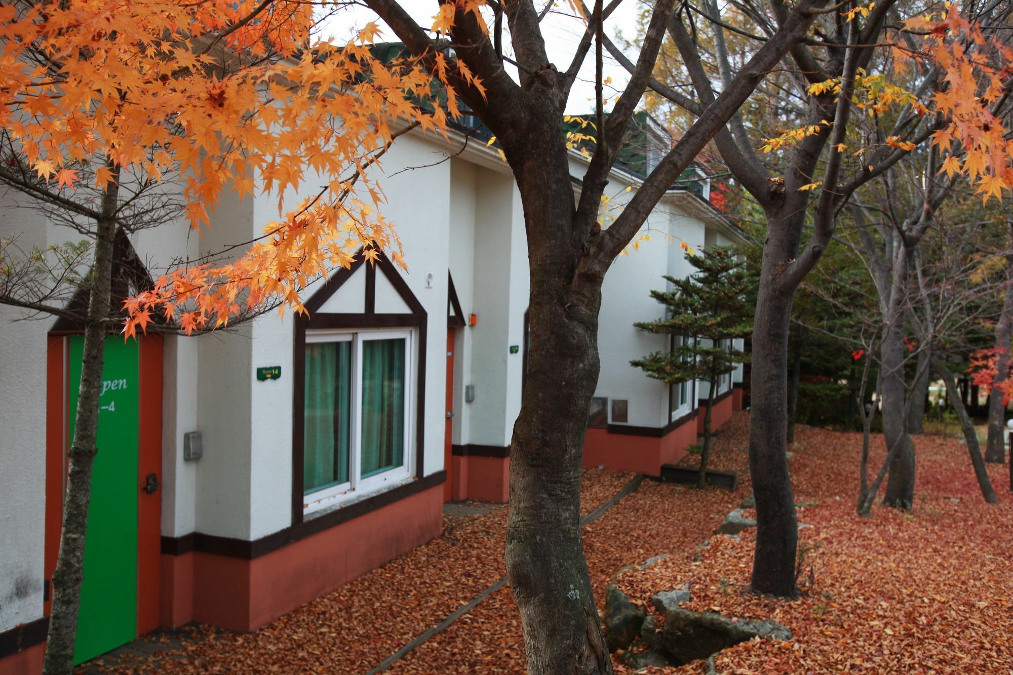 Pyeongchang Iris Pension ภายนอก รูปภาพ